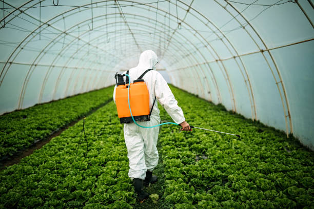 Best Wildlife Control Services  in Wasco, CA