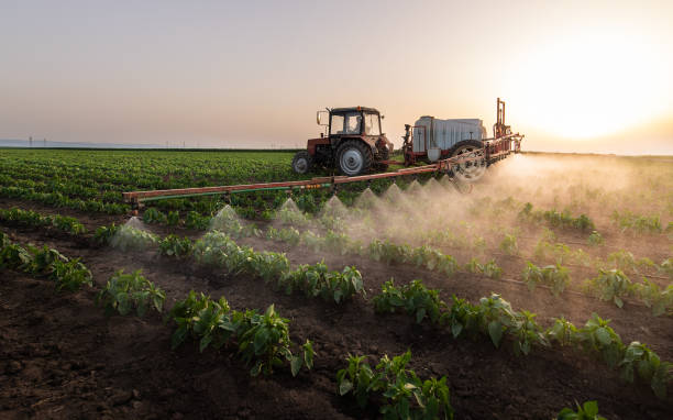Best Spider Control Near Me  in Wasco, CA
