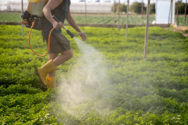 Best Pest Inspection Near Me  in Wasco, CA