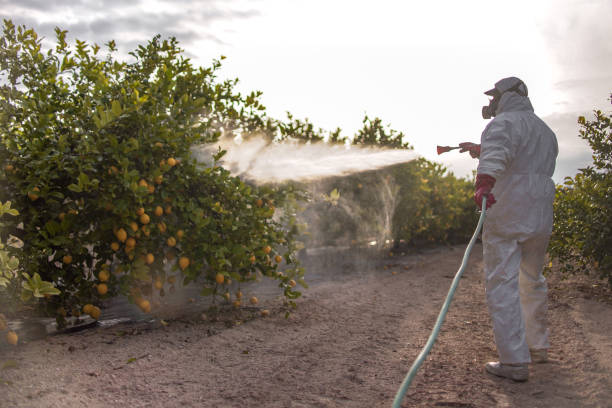 Reliable Wasco, CA Pest Control Solutions