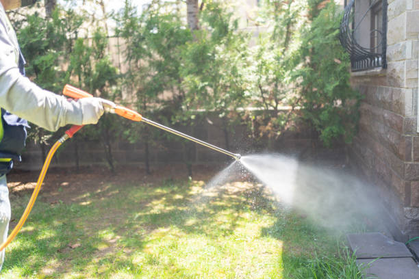 Best Wasp Removal Services  in Wasco, CA