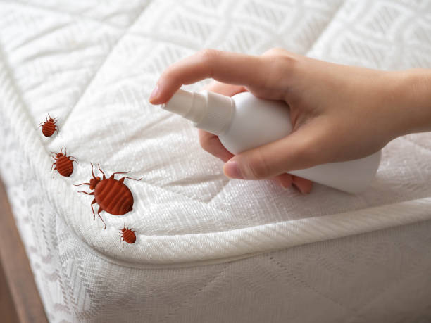 Best Commercial Pest Control Services  in Wasco, CA