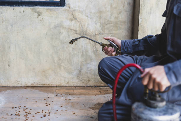 Best Mosquito Control Services  in Wasco, CA
